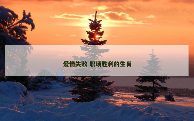 爱情失败 职场胜利的生肖