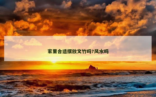 家里合适摆放文竹吗?风水吗