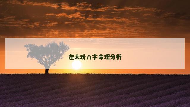 左大玢八字命理分析