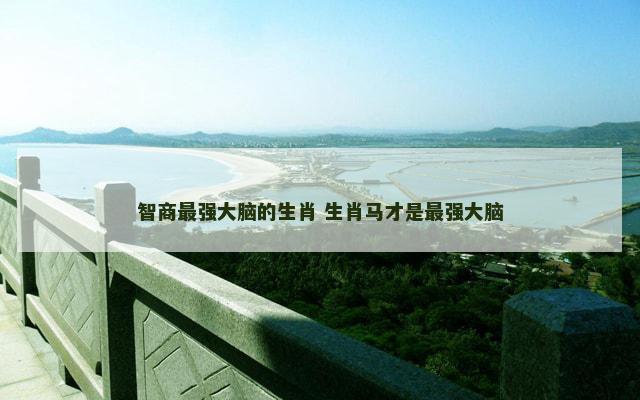 智商最强大脑的生肖 生肖马才是最强大脑