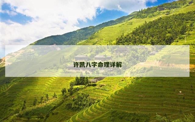 许凯八字命理详解