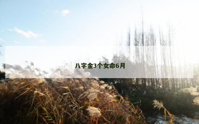 八字金3个女命6月