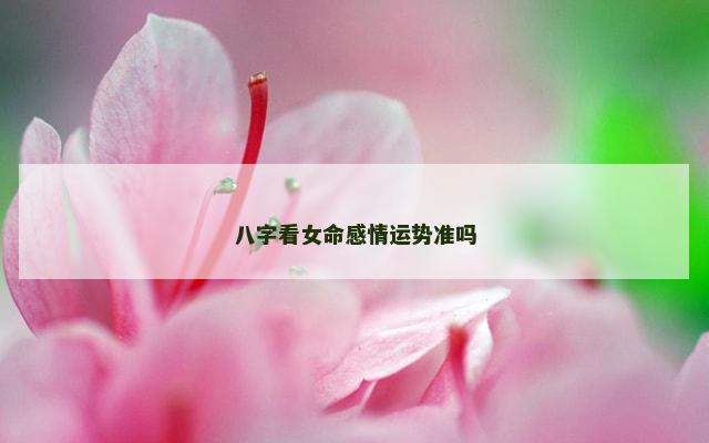 八字看女命感情运势准吗