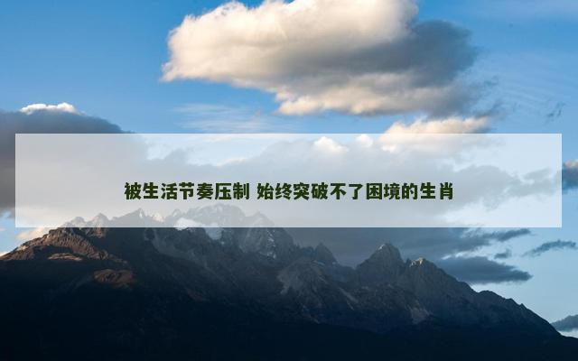 被生活节奏压制 始终突破不了困境的生肖