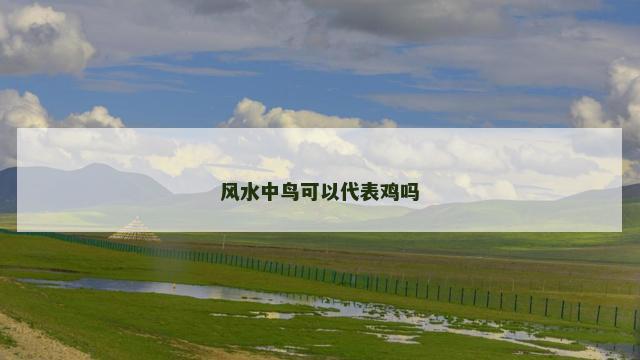 风水中鸟可以代表鸡吗