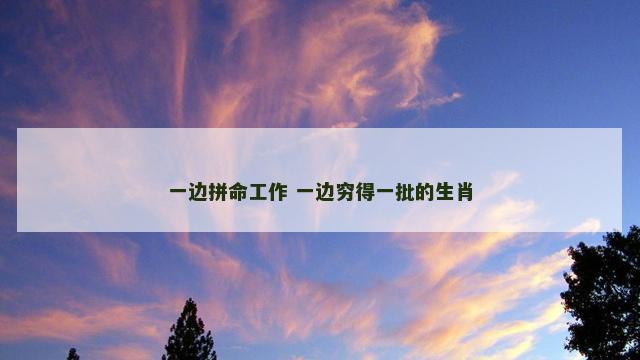 一边拼命工作 一边穷得一批的生肖