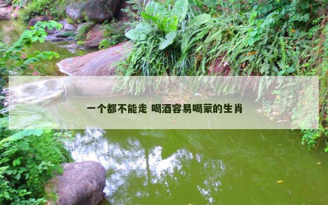 一个都不能走 喝酒容易喝蒙的生肖