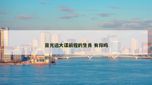 目光远大谋前程的生肖 有你吗