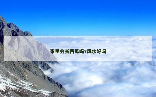 家里会长西瓜吗?风水好吗