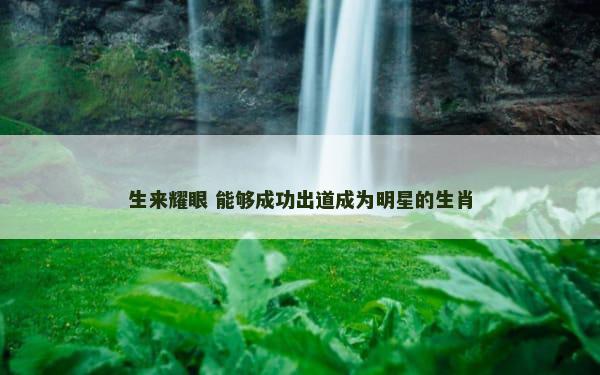 生来耀眼 能够成功出道成为明星的生肖
