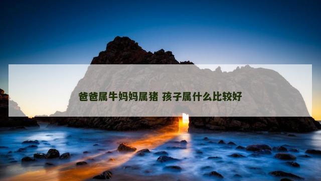 爸爸属牛妈妈属猪 孩子属什么比较好