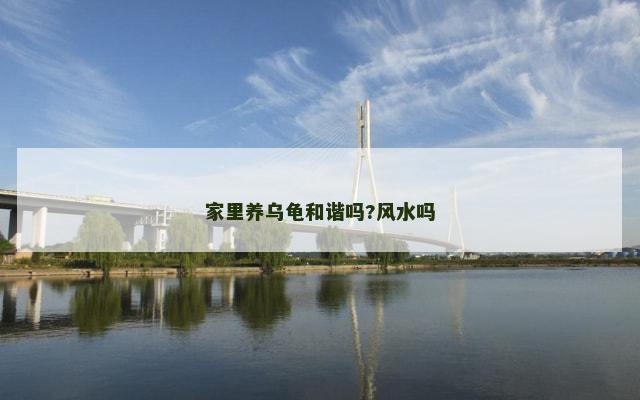 家里养乌龟和谐吗?风水吗