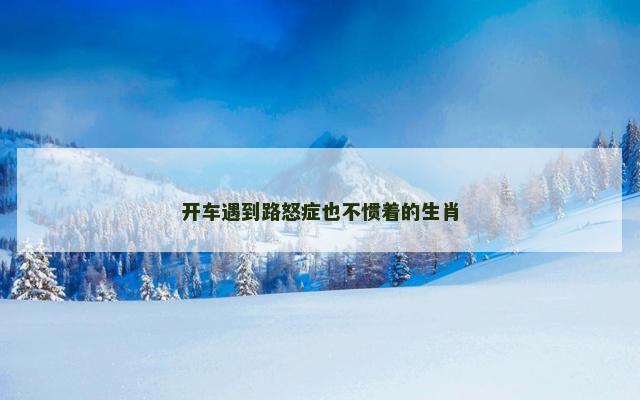 开车遇到路怒症也不惯着的生肖