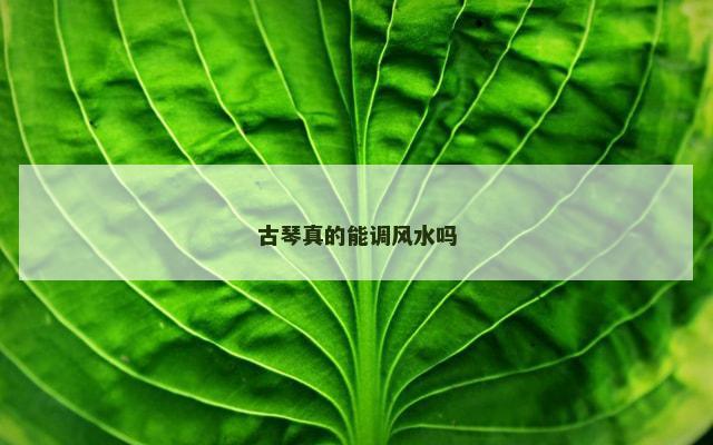 古琴真的能调风水吗