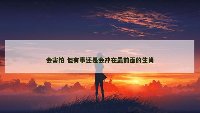 会害怕 但有事还是会冲在最前面的生肖