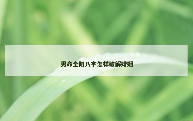 男命全阳八字怎样破解婚姻