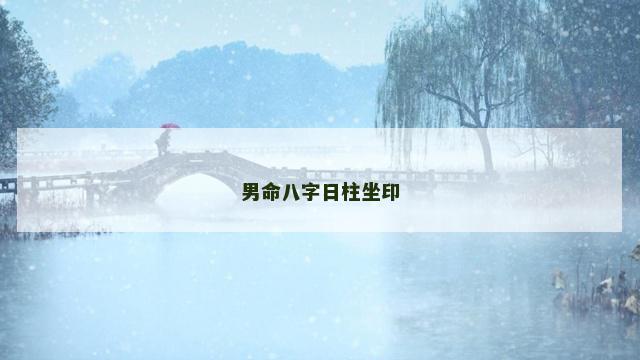 男命八字日柱坐印