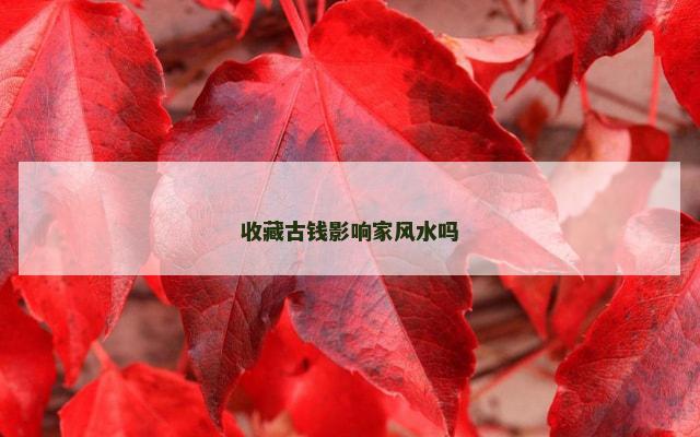 收藏古钱影响家风水吗