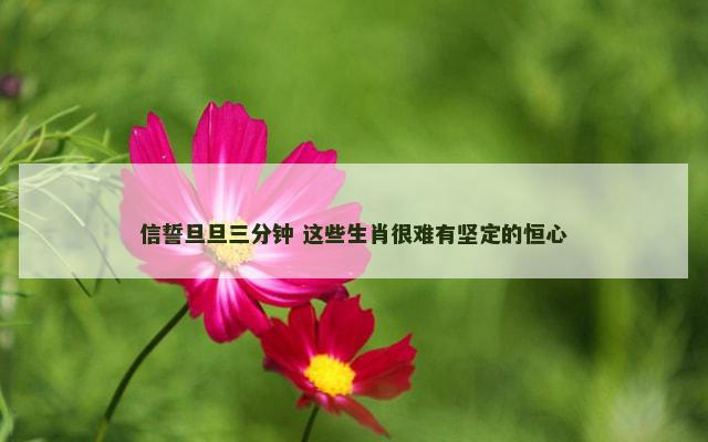 信誓旦旦三分钟 这些生肖很难有坚定的恒心