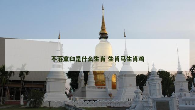 不落窠臼是什么生肖 生肖马生肖鸡