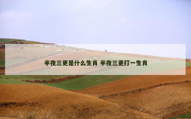 半夜三更是什么生肖 半夜三更打一生肖