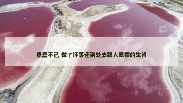 愚蠢不已 做了坏事还到处去跟人显摆的生肖