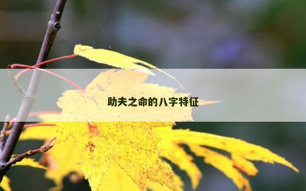 助夫之命的八字特征