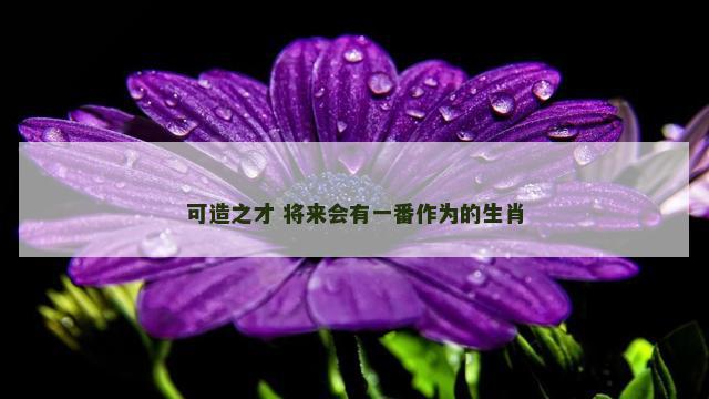 可造之才 将来会有一番作为的生肖