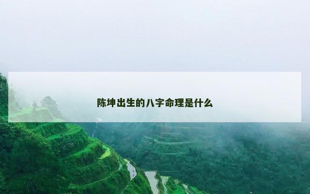 陈坤出生的八字命理是什么
