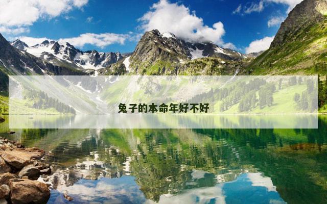 兔子的本命年好不好