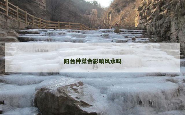 阳台种菜会影响风水吗