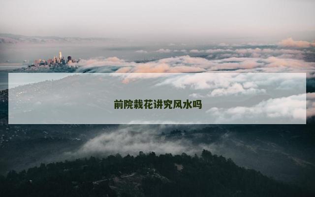 前院栽花讲究风水吗