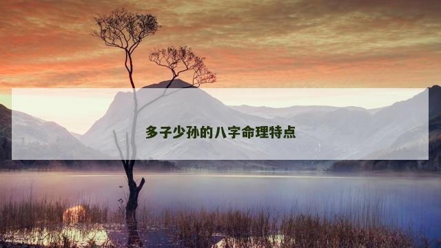 多子少孙的八字命理特点