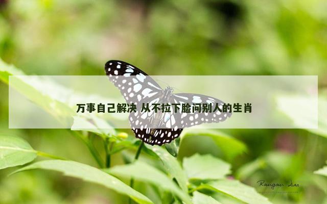 万事自己解决 从不拉下脸问别人的生肖