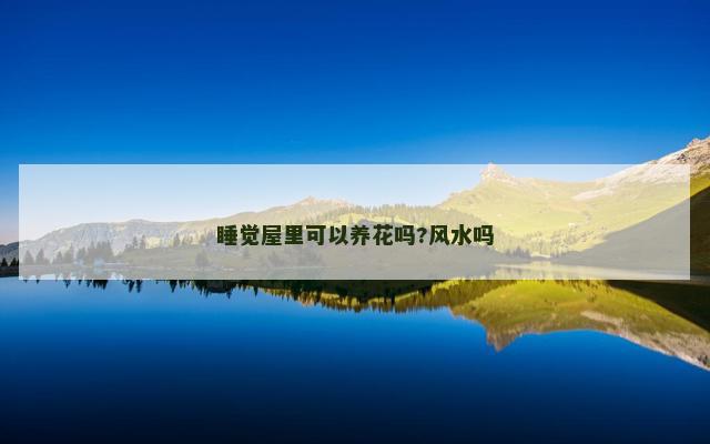 睡觉屋里可以养花吗?风水吗
