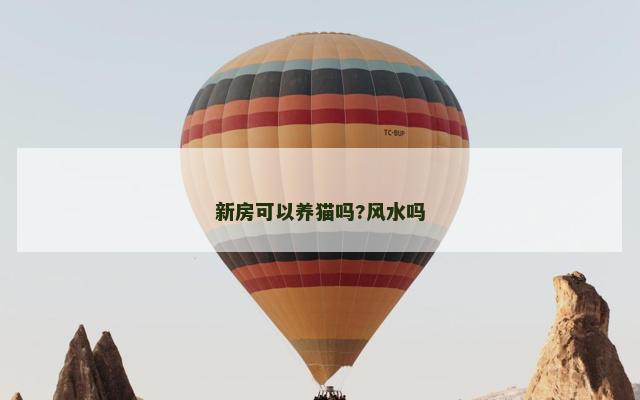 新房可以养猫吗?风水吗