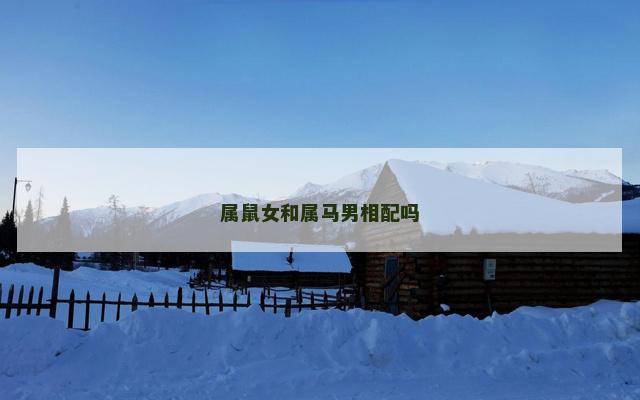 属鼠女和属马男相配吗