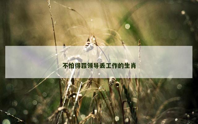 不怕得罪领导丢工作的生肖
