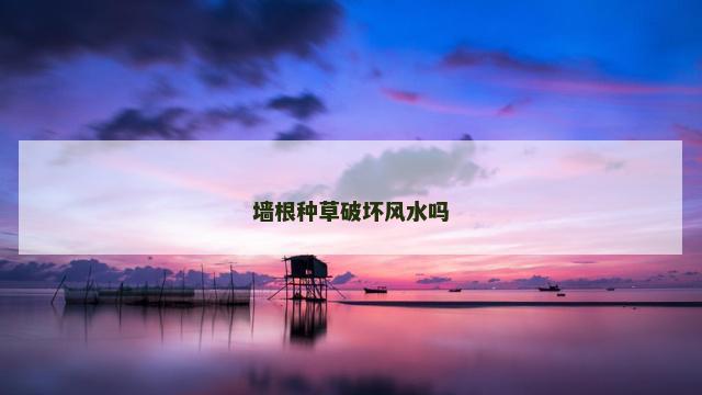 墙根种草破坏风水吗