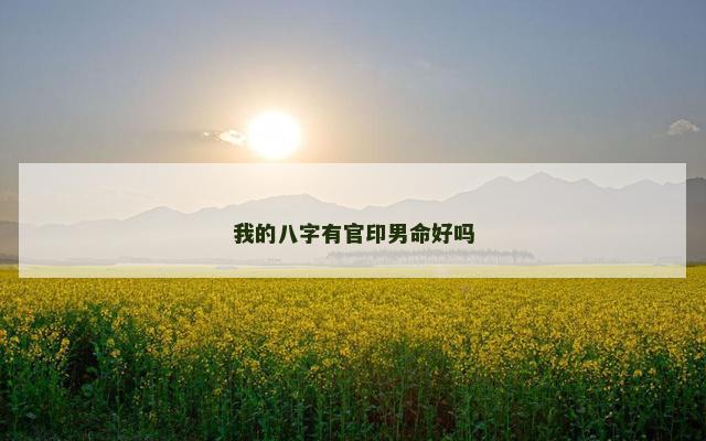 我的八字有官印男命好吗