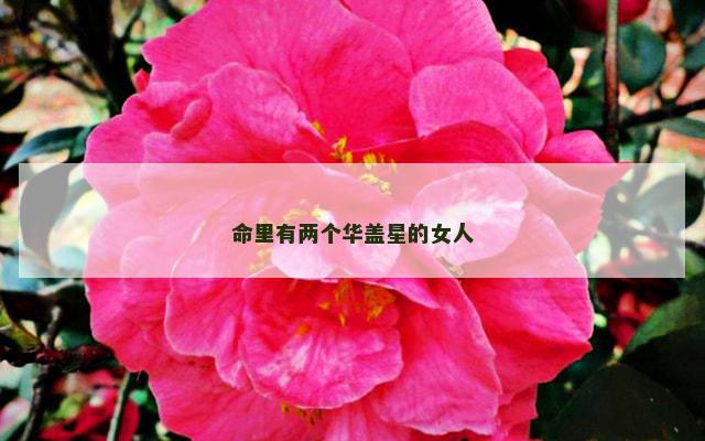 命里有两个华盖星的女人