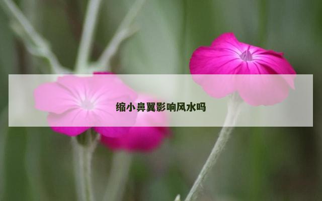 缩小鼻翼影响风水吗