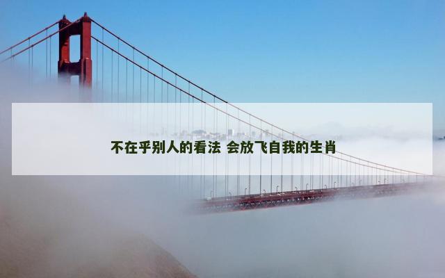 不在乎别人的看法 会放飞自我的生肖