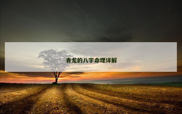 青龙的八字命理详解