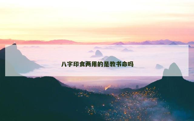 八字印食两用的是教书命吗