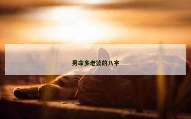男命多老婆的八字
