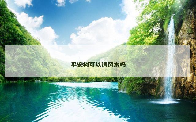 平安树可以调风水吗