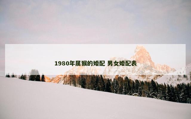 1980年属猴的婚配 男女婚配表