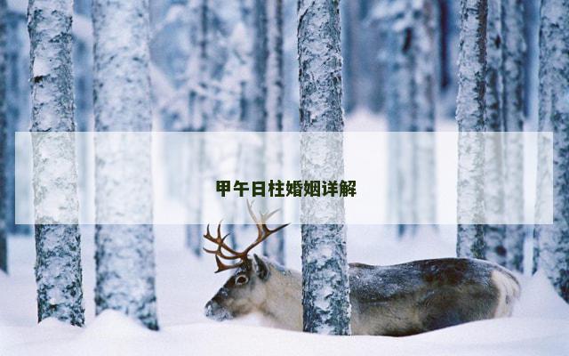 甲午日柱婚姻详解