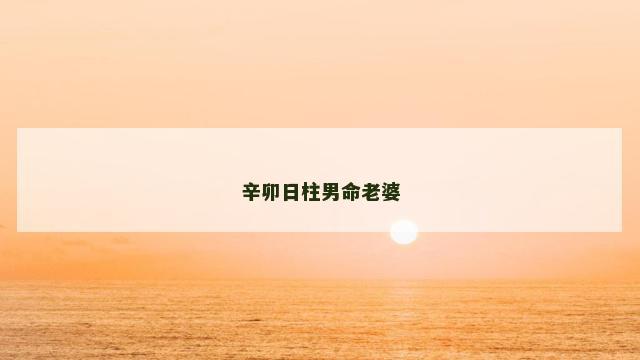 辛卯日柱男命老婆